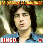 Ringo - Les oiseaux de Thalande