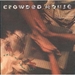 Vignette de Crowded House - Fall at your feet